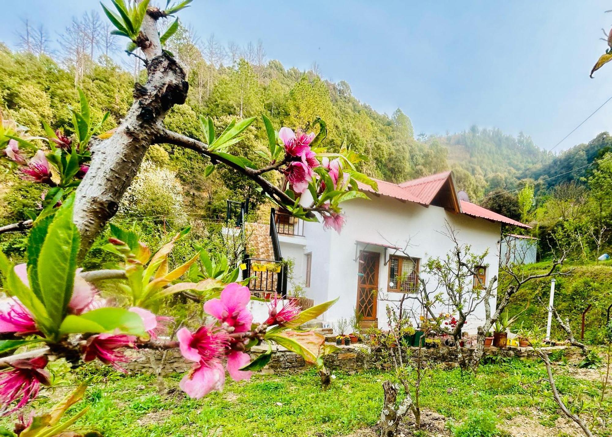 Love'S Farm, Cottage In Ramgarh Esterno foto